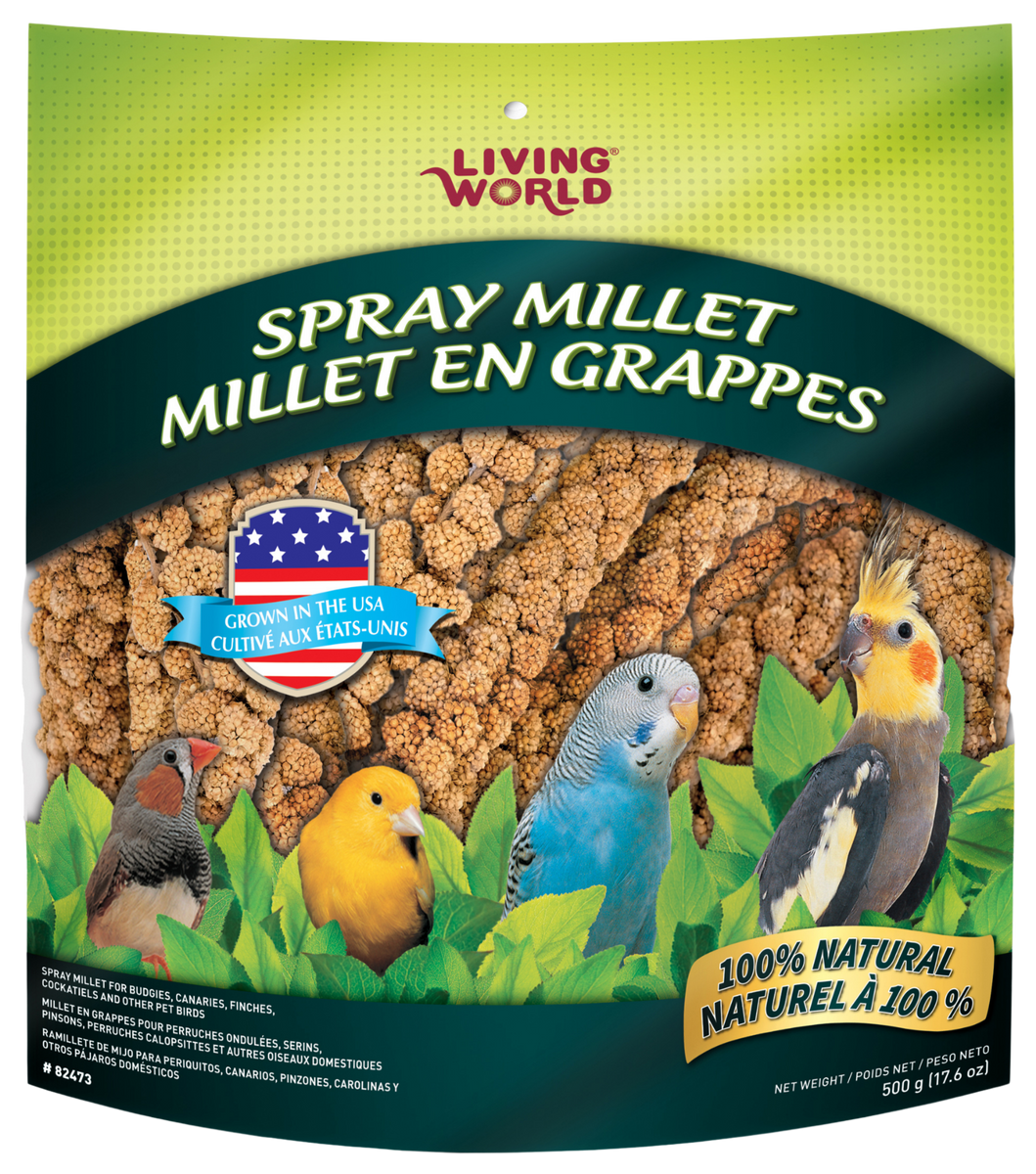 Millet pour perruches, Alimentation des perruches ondulées