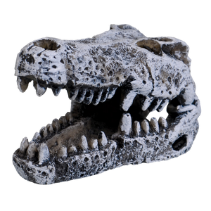 Décoration d'aquarium / Mini crâne de crocodile