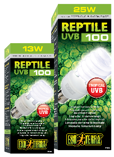 Ampoule UVB pour terrarium de climat tropical
