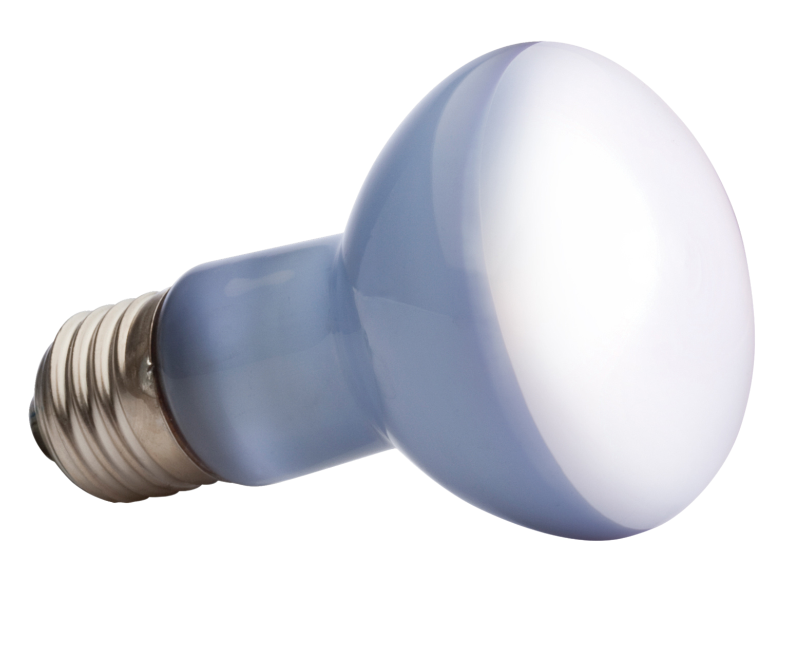 Ampoule à lumière du jour pour lézarder - R20 / 50W-75W-100W