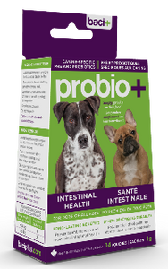 Probio+ | Prébiotiques & probiotiques pour chien (tous âges)