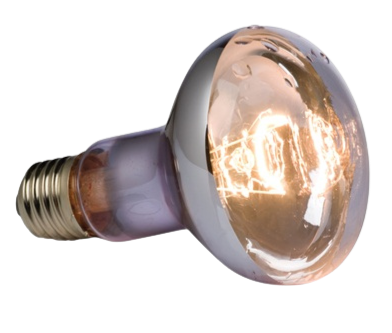 Ampoule pour lézarder en milieu marécageux - R20 / 50W-75W-100W