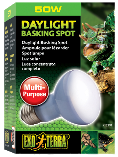 Ampoule à lumière du jour pour lézarder - R20 / 50W-75W-100W