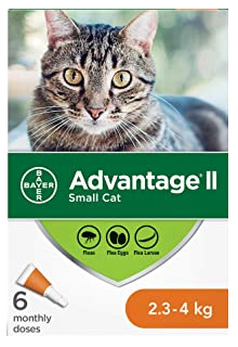 ADVANTAGE II | Traitement anti-puces pour chat / 2,3 à 4 kg