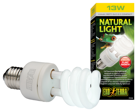 Ampoule fluocompacte Natural Light / 13W & 26W
